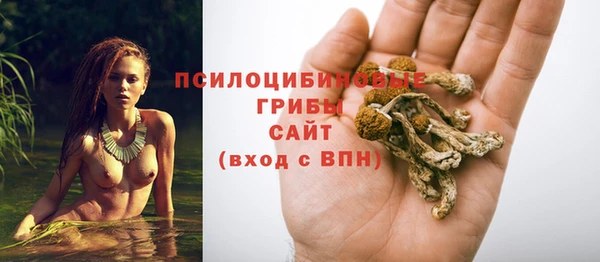 МДПВ Магас