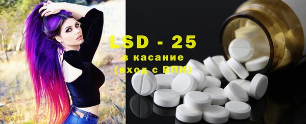 крисы Майский
