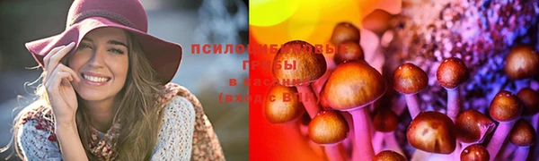 крисы Майский
