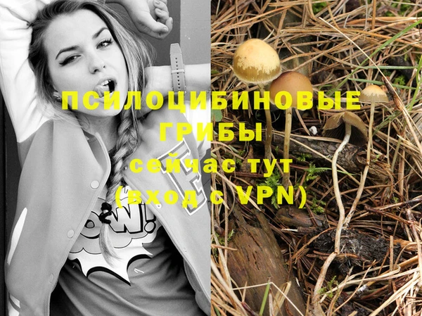МДПВ Магас