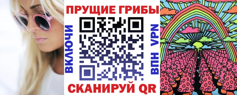 где купить   Конаково  hydra tor  Псилоцибиновые грибы прущие грибы 