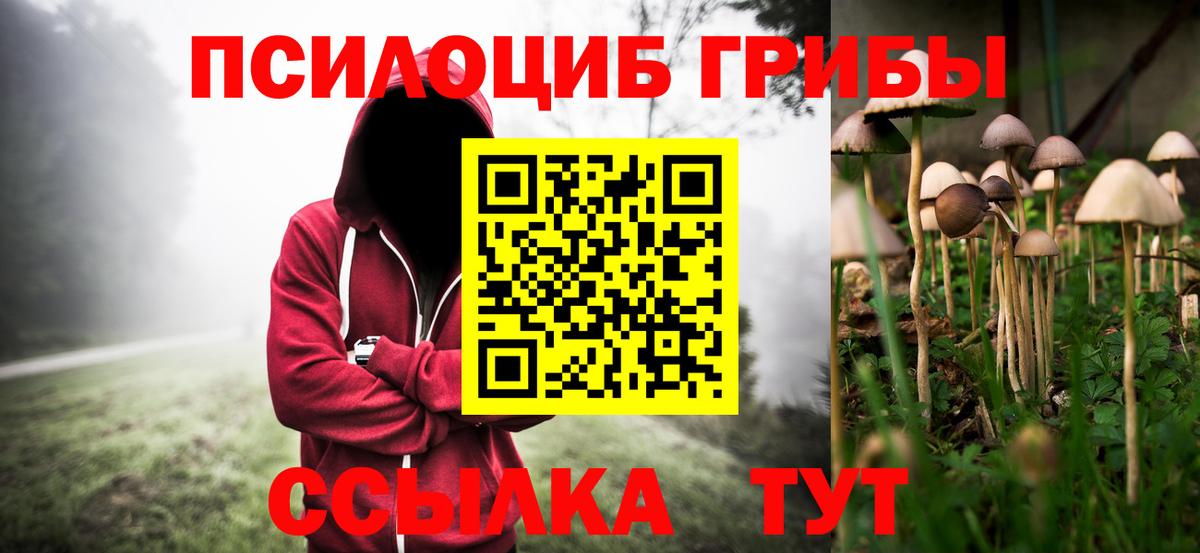 Конаково  Галлюциногенные грибы мицелий  Вход с VPN 
