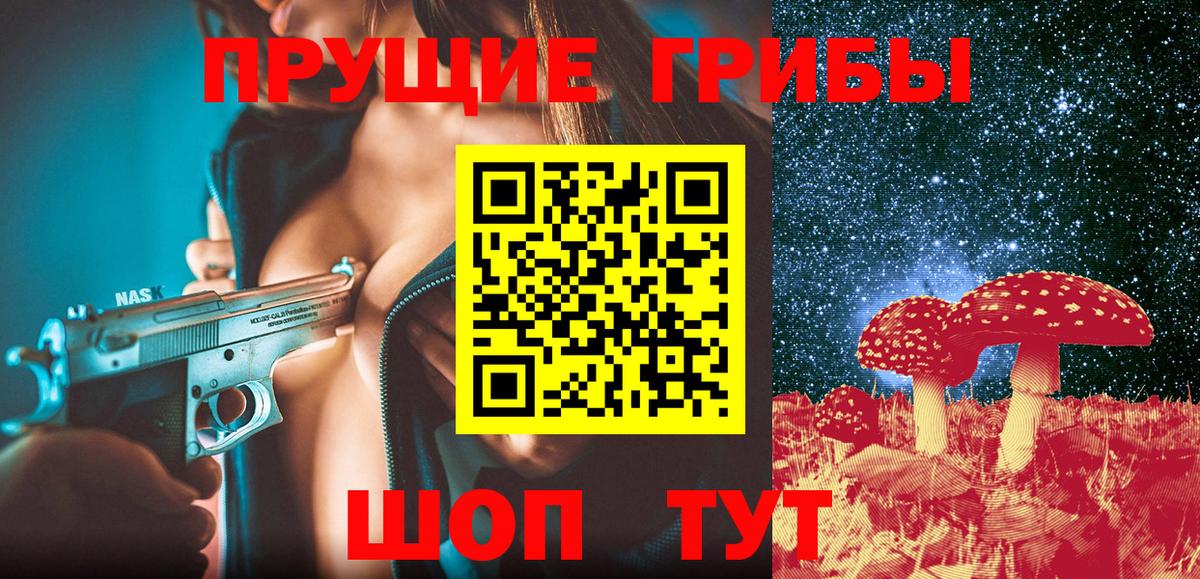 Псилоцибиновые грибы Cubensis Конаково